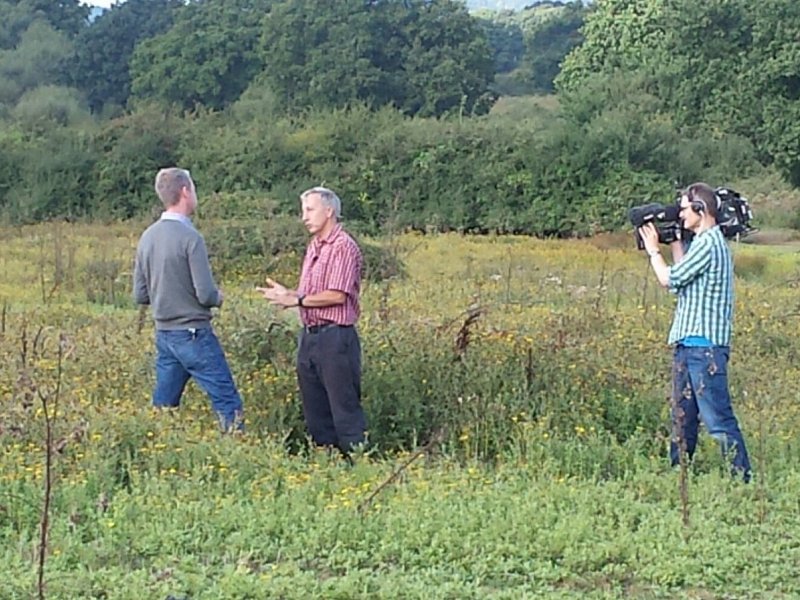 Rewilding in Sussex